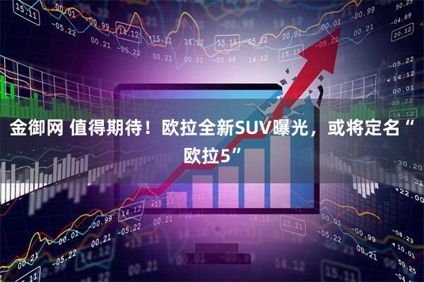 金御网 值得期待！欧拉全新SUV曝光，或将定名“欧拉5”