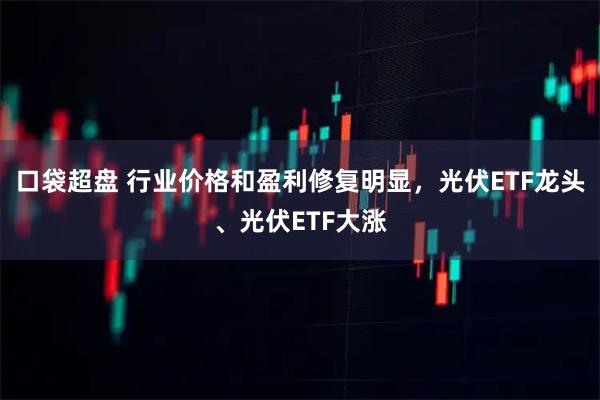 口袋超盘 行业价格和盈利修复明显，光伏ETF龙头、光伏ETF大涨
